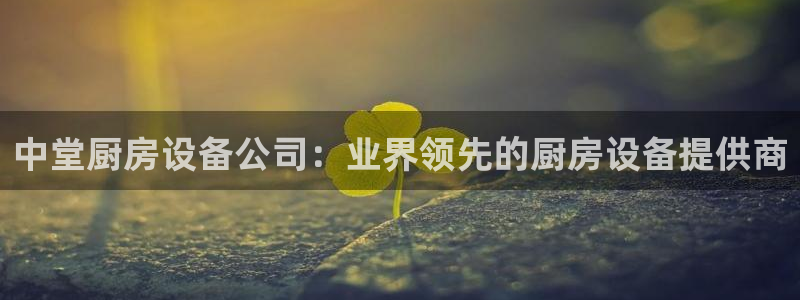 尊龙凯时游戏厅：中堂厨房设备公司：业界领先的厨房设备提供商