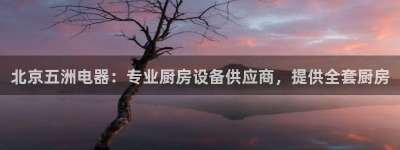 ag旗舰平台尊龙代言：北京五洲电器：专业厨房设备供应商，提供