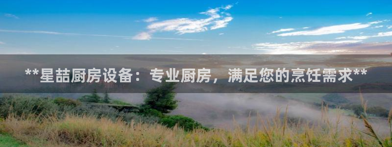 尊龙凯时 人生就是搏首页：**星喆厨房设备：专业厨房，满足您