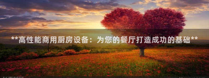 尊龙内地：**高性能商用厨房设备：为您的餐厅打造成功的基础*