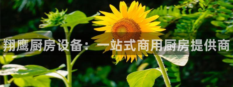 尊龙人生就是博登录准认来就送38：翔鹰厨房设备：一站式商用厨