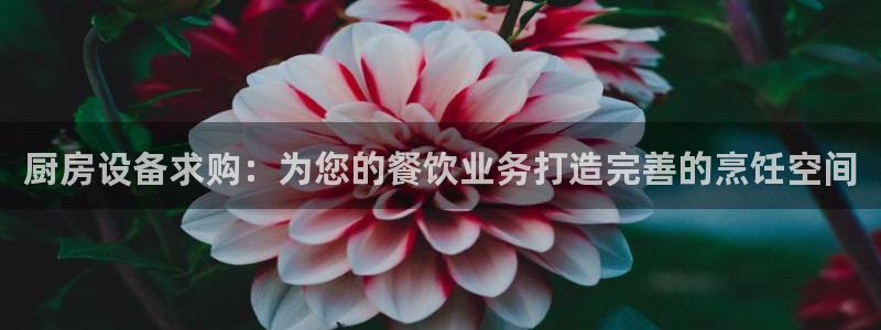 凯时官网手机版下载：厨房设备求购：为您的餐饮业务打造完善的烹
