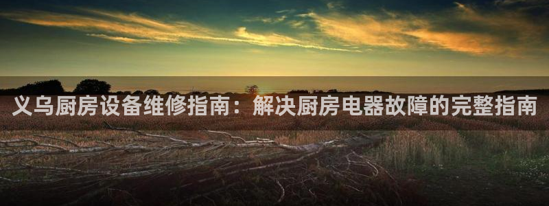 尊龙t600：义乌厨房设备维修指南：解决厨房电器故障的完整指
