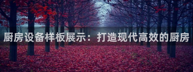 尊龙凯时老板是谁：厨房设备样板展示：打造现代高效的厨房