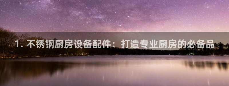 尊龙凯时论坛：1. 不锈钢厨房设备配件：打造专业厨房的必备品