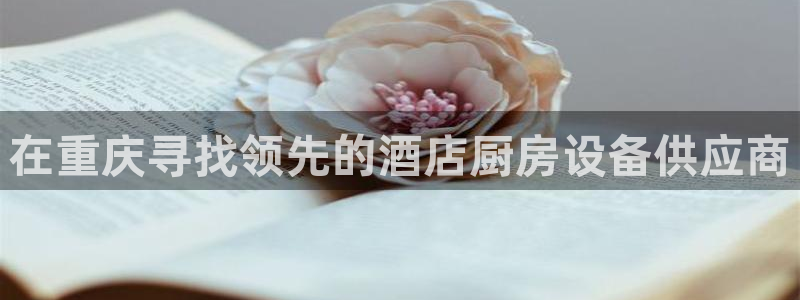 Z6尊龙老版：在重庆寻找领先的酒店厨房设备供应商