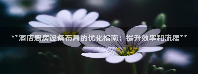尊龙官方网站是真的吗：**酒店厨房设备布局的优化指南：提升效