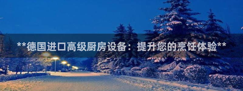 尊龙尊龙：**德国进口高级厨房设备：提升您的烹饪体验**