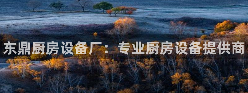 尊龙人生就是博中国区：东鼎厨房设备厂：专业厨房设备提供商