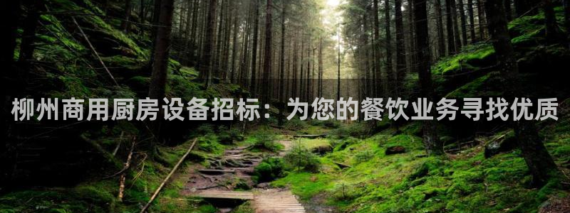 尊龙 贴吧：柳州商用厨房设备招标：为您的餐饮业务寻找优质