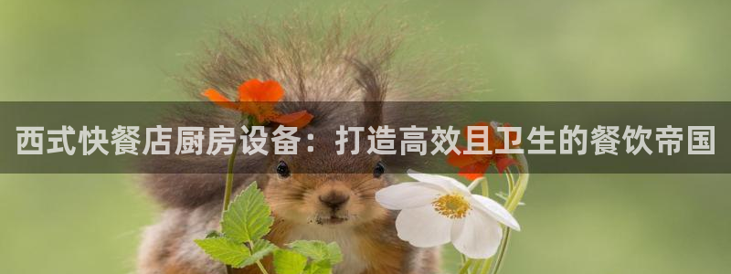 尊龙凯时官网正规吗：西式快餐店厨房设备：打造高效且卫生的餐饮