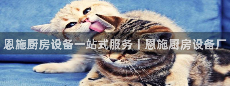 尊龙凯时有限公司：恩施厨房设备一站式服务丨恩施厨房设备厂