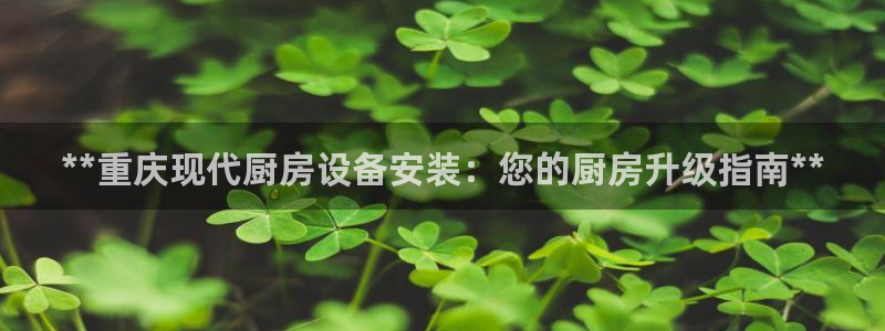 尊龙凯时是哪个国家的：**重庆现代厨房设备安装：您的厨房升级