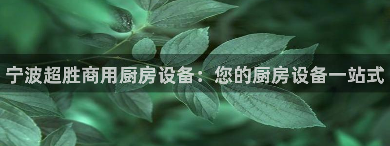 尊龙凯时赢不了：宁波超胜商用厨房设备：您的厨房设备一站式