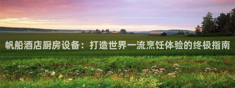 尊龙凯时企业文化：帆船酒店厨房设备：打造世界一流烹饪体验的终