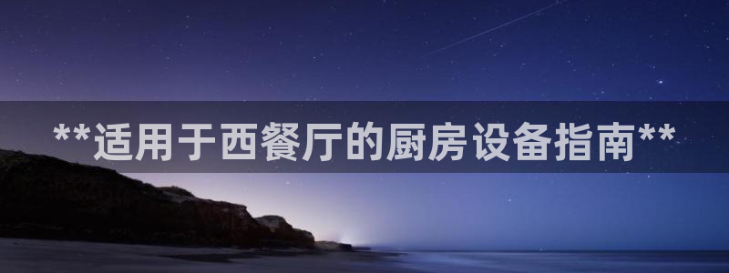 尊龙凯时一人生就是博登入：**适用于西餐厅的厨房设备指南**