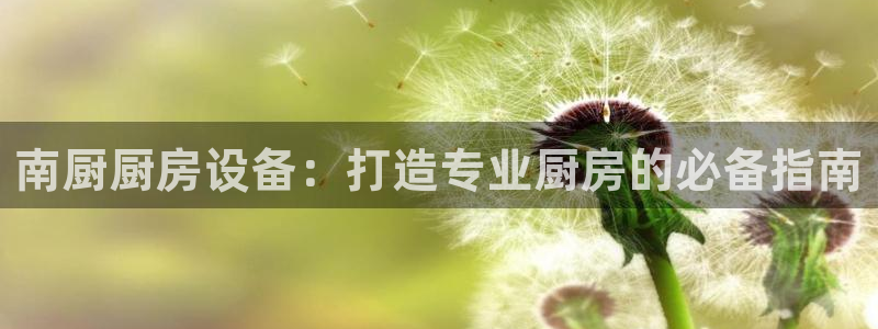尊龙凯时法拉币：南厨厨房设备：打造专业厨房的必备指南