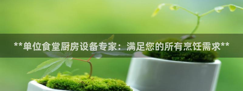 尊龙会：**单位食堂厨房设备专家：满足您的所有烹饪需求**