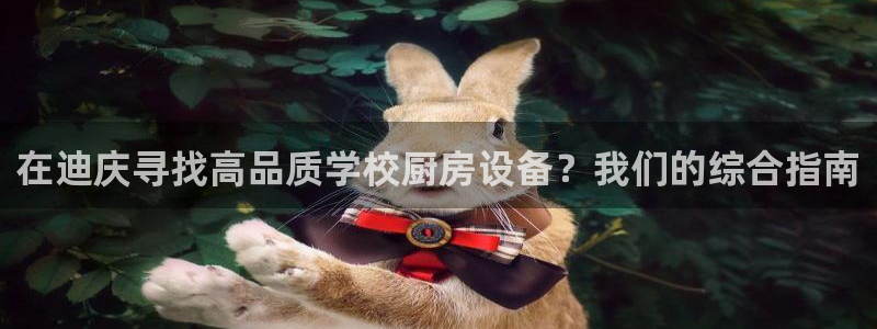 尊龙凯时是直营吗：在迪庆寻找高品质学校厨房设备？我们的综合指