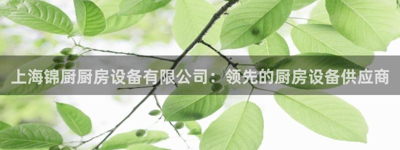 尊龙凯时z6官网：上海锦厨厨房设备有限公司：领先的厨房设备供