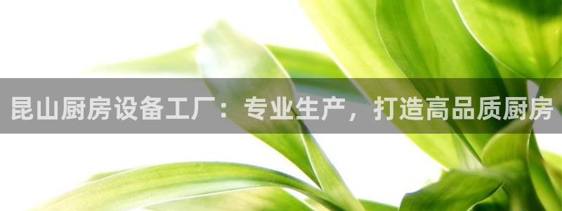 尊龙凯时 - 人生就是搏有假吗：昆山厨房设备工厂：专业生产，