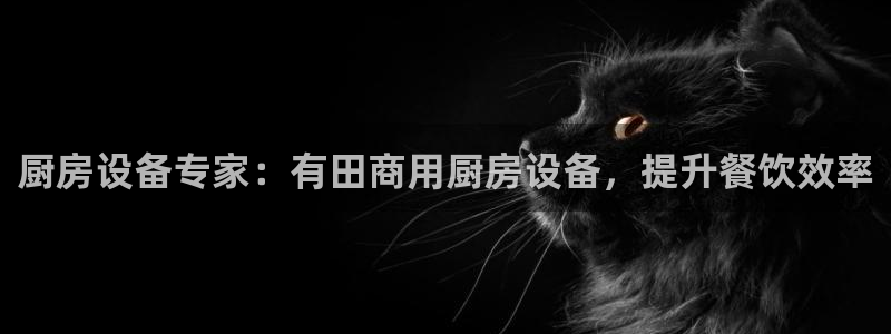 尊龙目前情况：厨房设备专家：有田商用厨房设备，提升餐饮效率