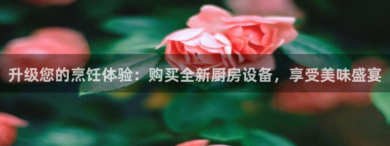 尊龙凯时网站赌愽做假吗：升级您的烹饪体验：购买全新厨房设备，