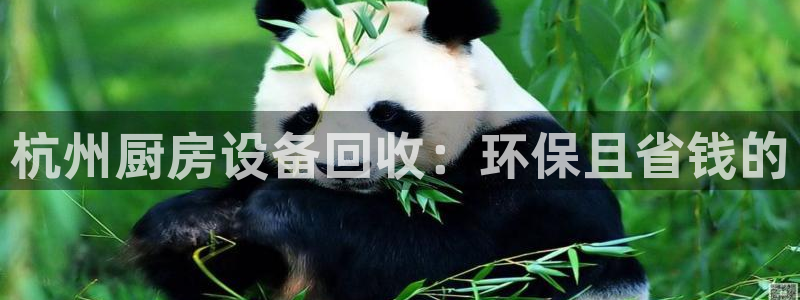 尊龙凯时老板：杭州厨房设备回收：环保且省钱的