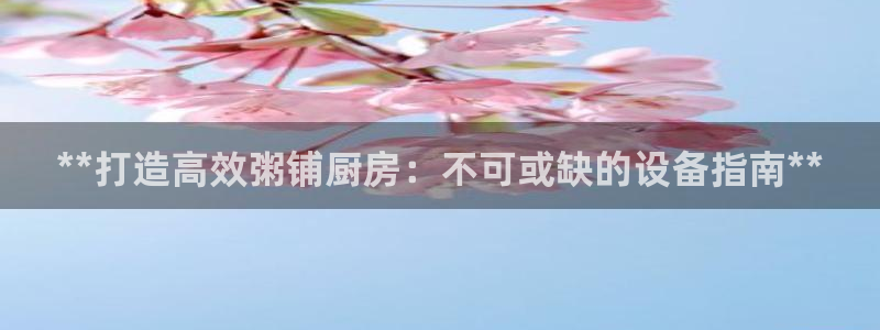 尊龙人生就是博首页入口：**打造高效粥铺厨房：不可或缺的设备