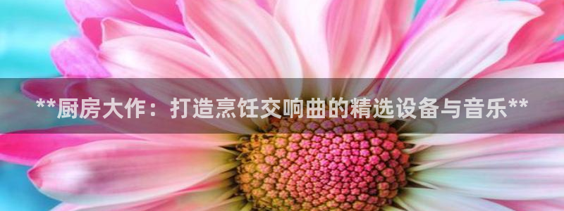 尊龙Ag：**厨房大作：打造烹饪交响曲的精选设备与音乐**
