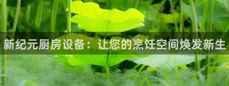 尊龙官网网页版：新纪元厨房设备：让您的烹饪空间焕发新生