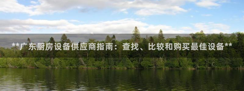 尊龙凯时有假么：**广东厨房设备供应商指南：查找、比较和购买