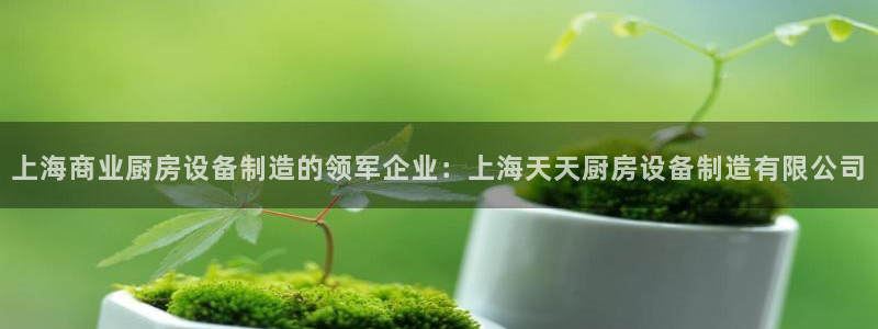 尊龙娱官网赢来就送38：上海商业厨房设备制造的领军企业：上海