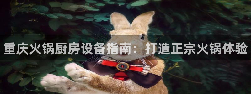 尊龙贴吧：重庆火锅厨房设备指南：打造正宗火锅体验