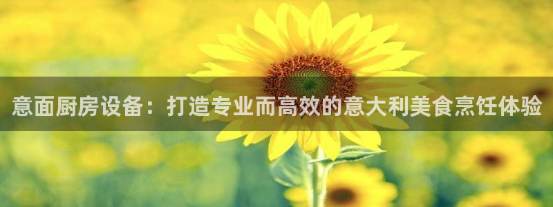 尊龙凯时注册：意面厨房设备：打造专业而高效的意大利美食烹饪体