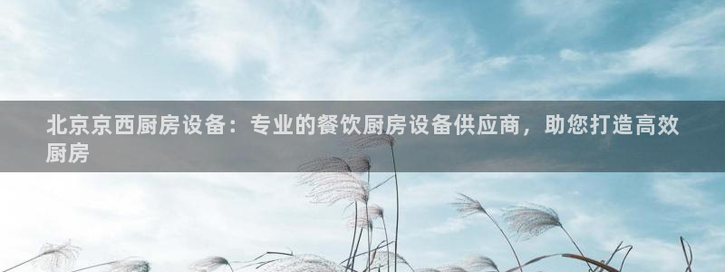 尊龙人生就是博AG旗舰厅：北京京西厨房设备：专业的餐饮厨房设