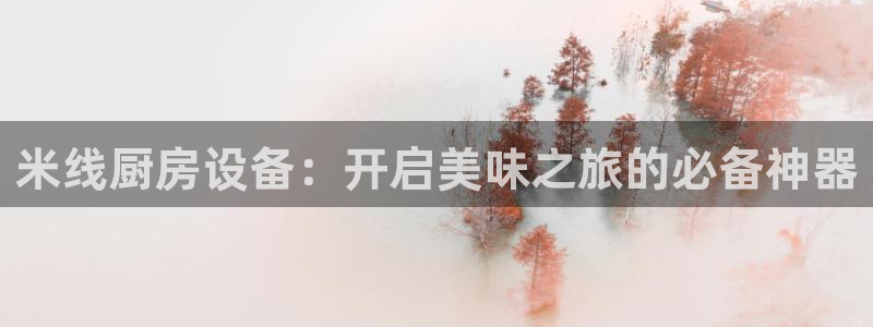 尊龙ag旗舰厅手机版：米线厨房设备：开启美味之旅的必备神器