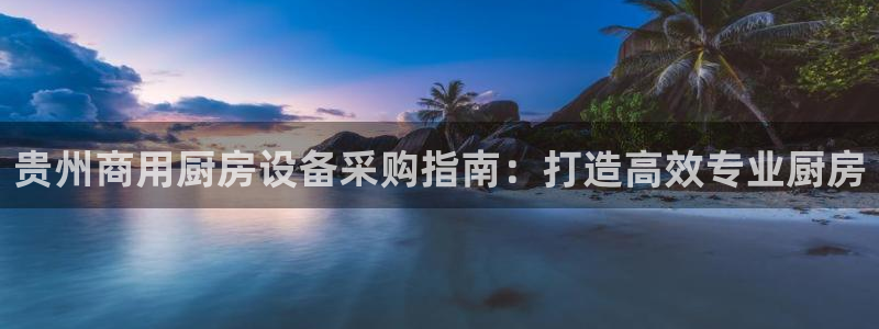 尊龙人生就是博网站：贵州商用厨房设备采购指南：打造高效专业厨