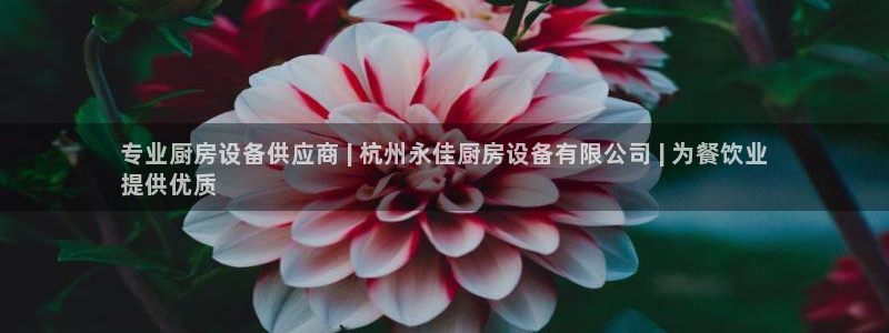 z6尊龙官网平台下载：专业厨房设备供应商 | 杭州永佳厨房设