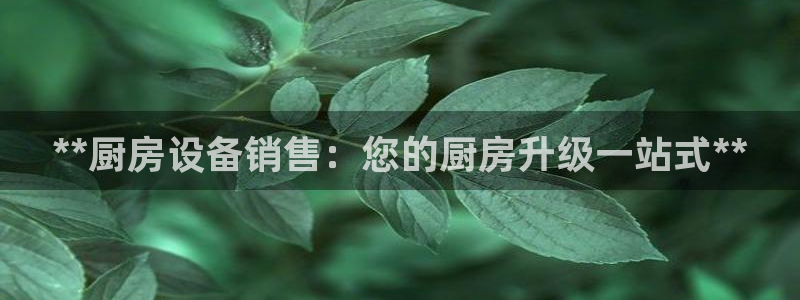 凯时国际娱乐官方网址：**厨房设备销售：您的厨房升级一站式*