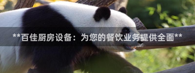 尊龙网平台：**百佳厨房设备：为您的餐饮业务提供全面**