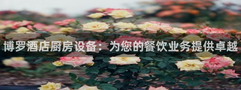 尊龙d88手机app免费下载：博罗酒店厨房设备：为您的餐饮业