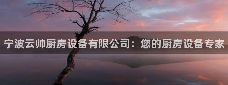尊龙d88官网登录下载：宁波云帅厨房设备有限公司：您的厨房设
