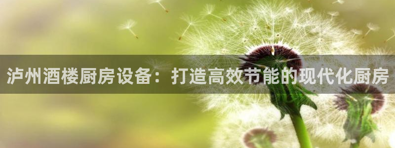 尊龙人生就是博首页：泸州酒楼厨房设备：打造高效节能的现代化厨