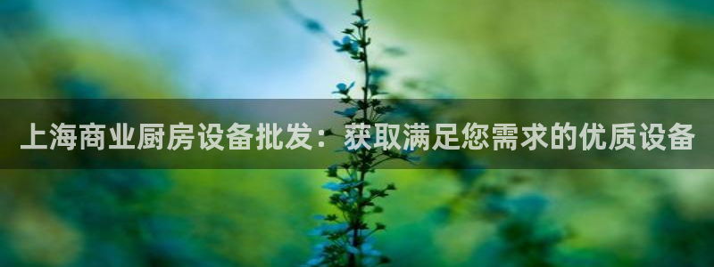 尊龙凯时人生就是博游戏网站：上海商业厨房设备批发：获取满足您