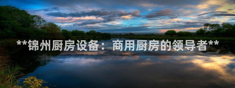 尊龙ktv怎么样：**锦州厨房设备：商用厨房的领导者**