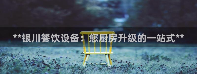 尊龙官方网站最新版V9.3.06：**银川餐饮设备：您厨房升