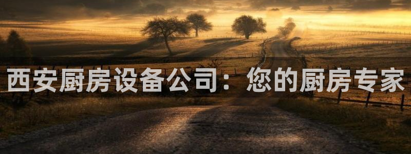 尊龙凯时人生就是搏技术实力：西安厨房设备公司：您的厨房专家