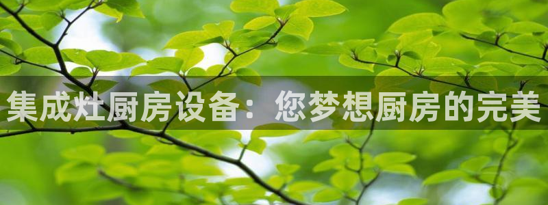 尊龙凯时人生就是博游戏网站：集成灶厨房设备：您梦想厨房的完美