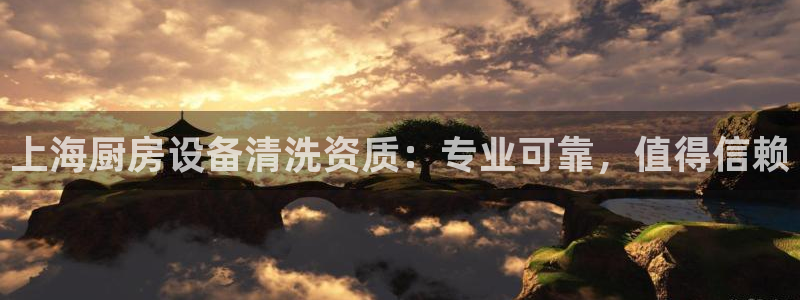 尊龙游戏官方网：上海厨房设备清洗资质：专业可靠，值得信赖